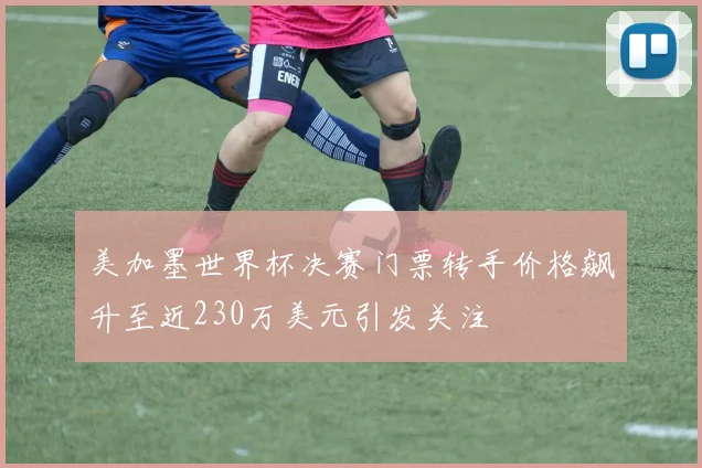 美加墨世界杯决赛门票转手价格飙升至近230万美元引发关注