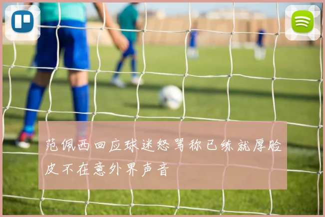 范佩西回应球迷怒骂称已练就厚脸皮不在意外界声音