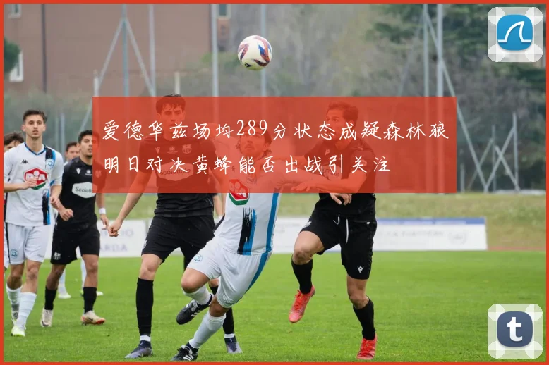 爱德华兹场均289分状态成疑森林狼明日对决黄蜂能否出战引关注